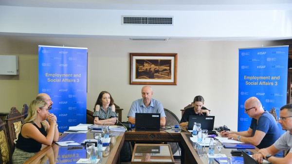 ILO: Labour Law Reform FBiH