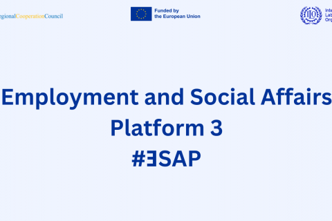 Employment and Social Affairs Platform 3