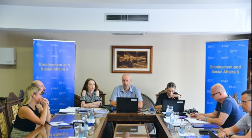 ILO: Labour Law Reform FBiH